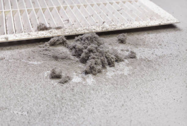 Best Local Air Duct Cleaning Services  in , WI