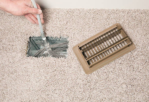 Best Air Duct Mold Removal  in , WI