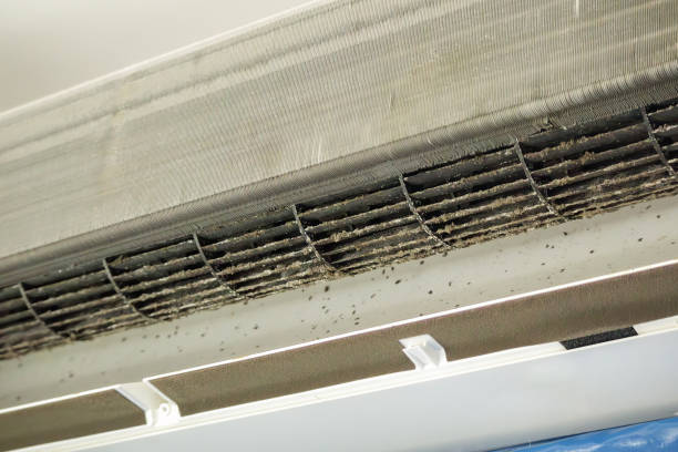 Best Emergency Air Duct Cleaning  in , WI